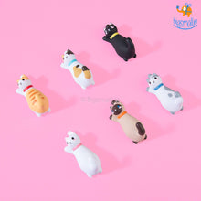 Load image into Gallery viewer, FALSE