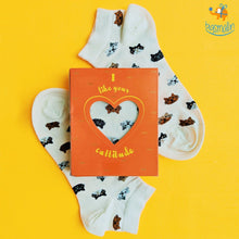 Load image into Gallery viewer, Cattitude Socks