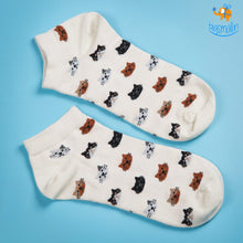 Load image into Gallery viewer, Cattitude Socks