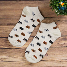 Load image into Gallery viewer, Cattitude Socks
