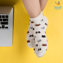 Load image into Gallery viewer, Cattitude Socks