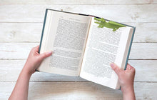 Load image into Gallery viewer, FALSE