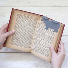 Load image into Gallery viewer, FALSE