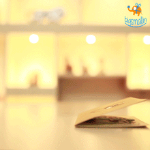 Load image into Gallery viewer, FALSE