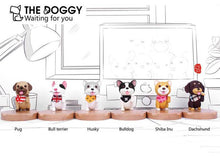 Load image into Gallery viewer, FALSE