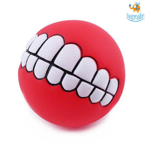 Dog Chewy Ball
