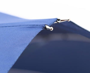 Dual Umbrella
