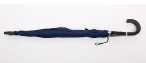 Dual Umbrella