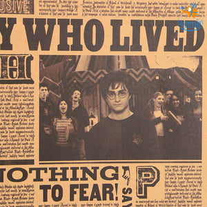 Harry Potter Poster - The Boy Who Lived