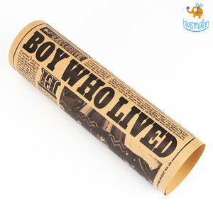 Harry Potter Poster - The Boy Who Lived