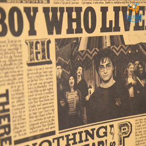 Harry Potter Poster - The Boy Who Lived