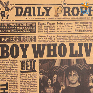 Harry Potter Poster - The Boy Who Lived
