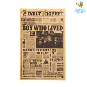 Harry Potter Poster - The Boy Who Lived
