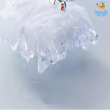 Load image into Gallery viewer, Rainbow Ear Studs
